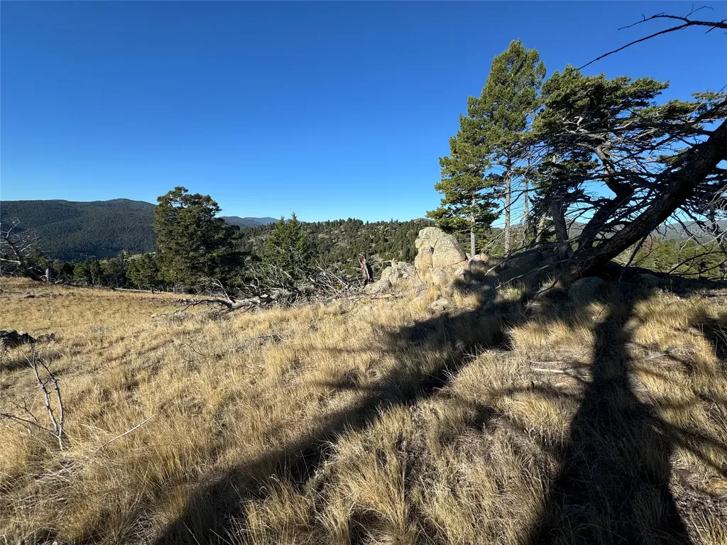 Tbd (40.1 +/- Ac) High Ore Road Boulder MT 59632