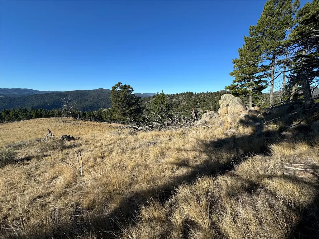 Tbd (40.1 +/- Ac) High Ore Road Boulder MT 59632