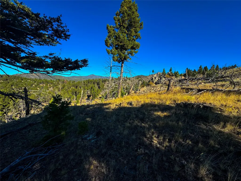 Tbd (40.1 +/- Ac) High Ore Road Boulder MT 59632