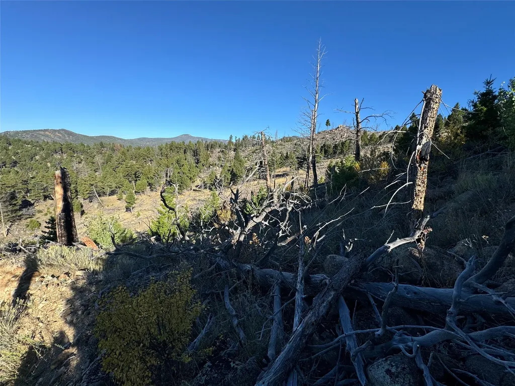 Tbd (40.1 +/- Ac) High Ore Road Boulder MT 59632