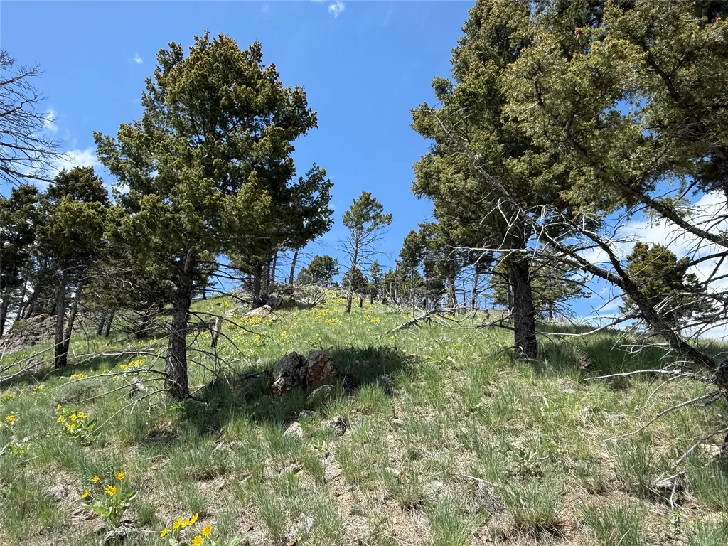 Tbd (40.1 +/- Ac) High Ore Road Boulder MT 59632