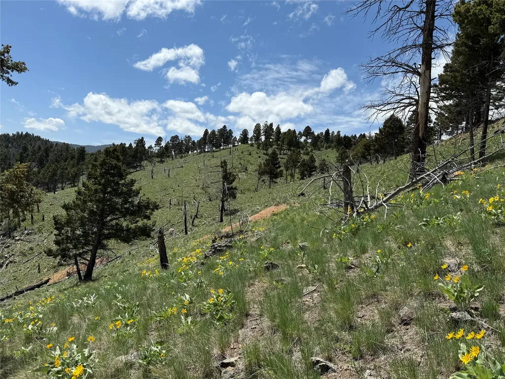 Tbd (40.1 +/- Ac) High Ore Road Boulder MT 59632