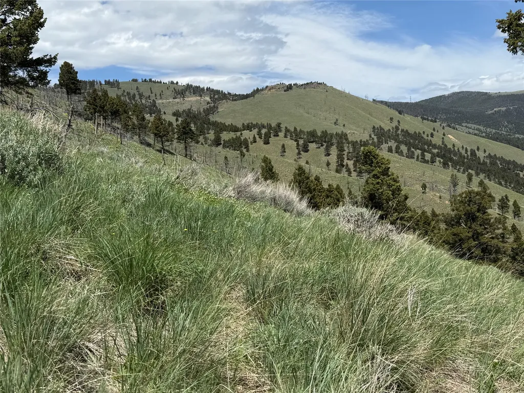 Tbd (40.1 +/- Ac) High Ore Road Boulder MT 59632