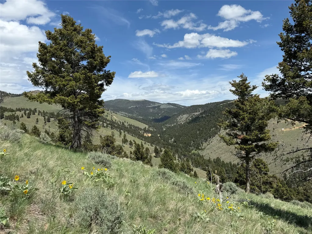 Tbd (40.1 +/- Ac) High Ore Road Boulder MT 59632