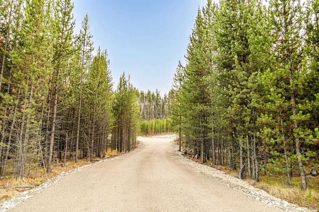 Lot 3 Tbd Harris Road Anaconda MT 59711