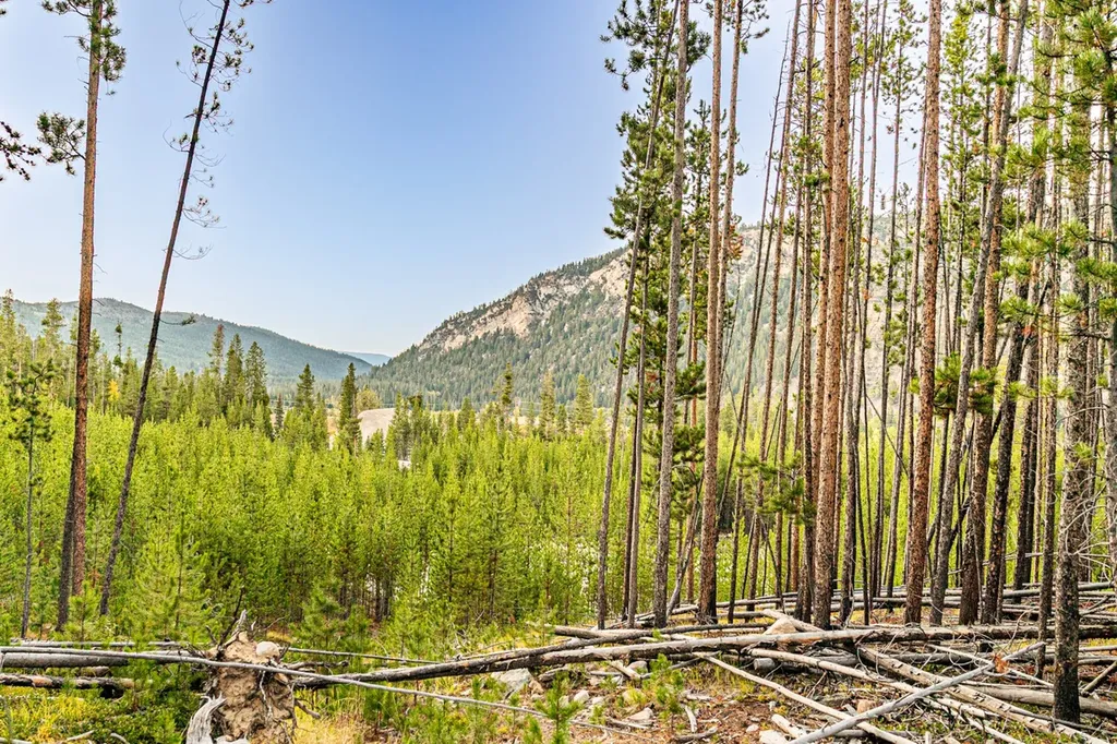 Lot 3 Tbd Harris Road Anaconda MT 59711