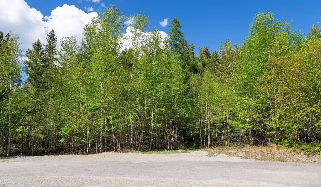 168 Whitefish Lookout Road Whitefish MT 59937