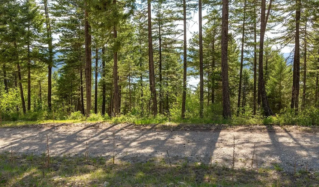 168 Whitefish Lookout Road Whitefish MT 59937