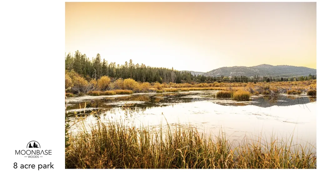 Lot 6 Tbd Harris Road Anaconda MT 59711