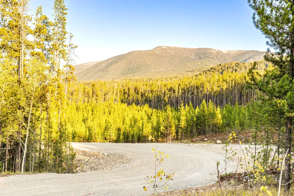 Lot 6 Tbd Harris Road Anaconda MT 59711