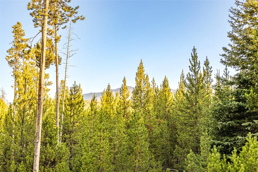 Lot 10 Tbd Harris Road Anaconda MT 59711