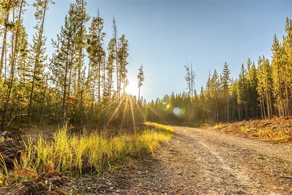 Lot 10 Tbd Harris Road Anaconda MT 59711
