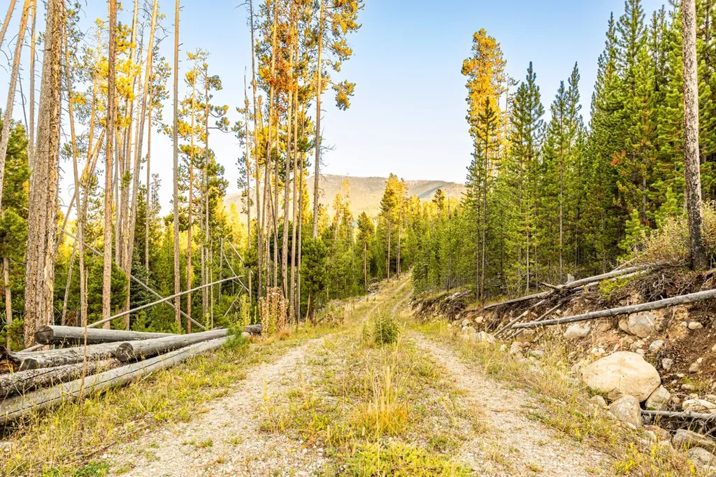 Lot 10 Tbd Harris Road Anaconda MT 59711