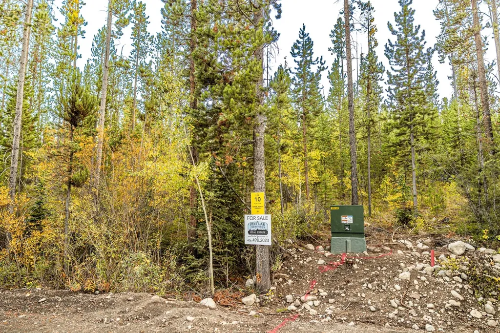 Lot 10 Tbd Harris Road Anaconda MT 59711