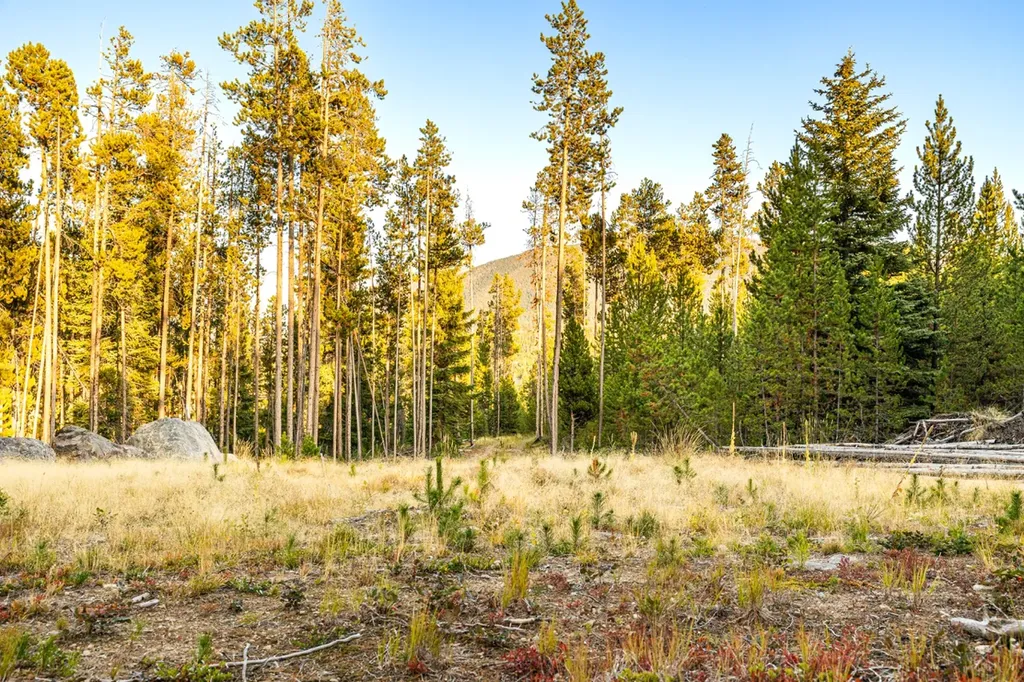 Lot 10 Tbd Harris Road Anaconda MT 59711