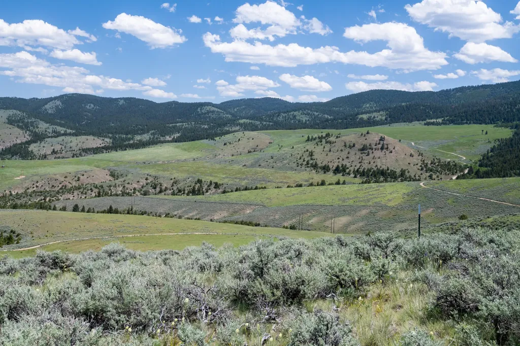 Nhn Blue Sage Trail Corvallis MT 59828