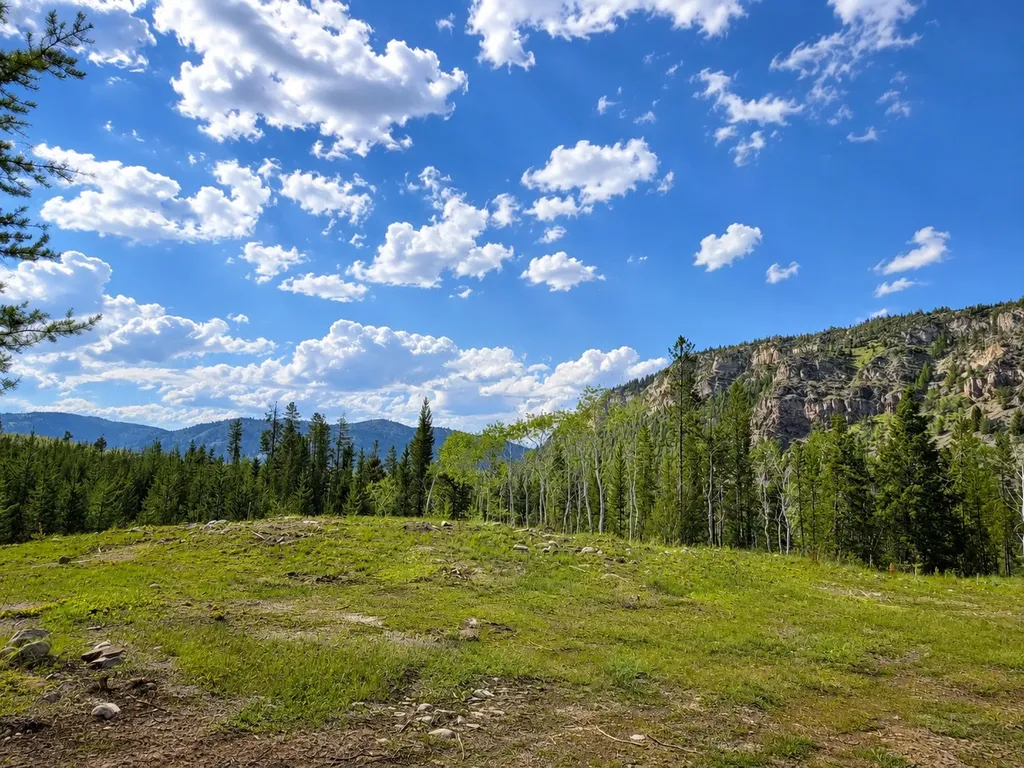 Lot 1 Tbd Harris Road Anaconda MT 59711