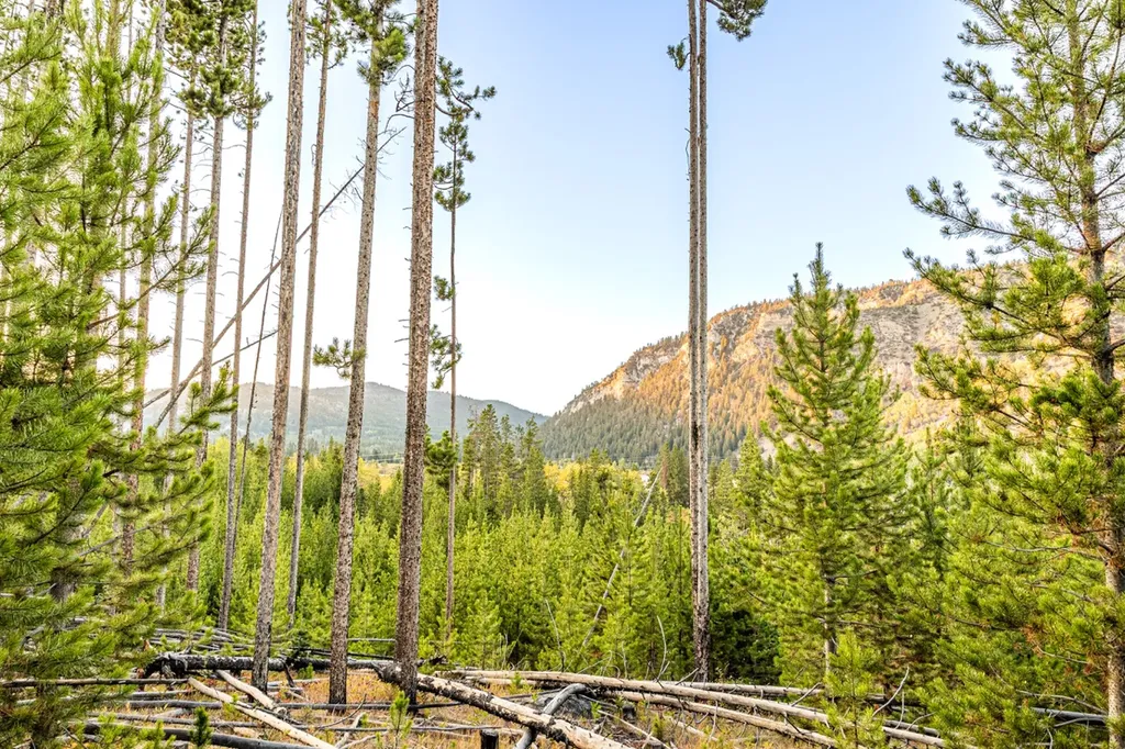 Lot 1 Tbd Harris Road Anaconda MT 59711