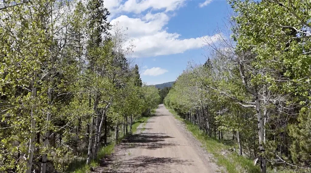 Lot 1 Tbd Harris Road Anaconda MT 59711