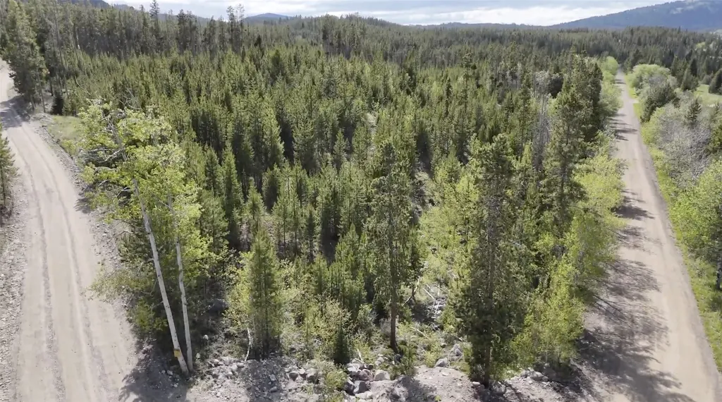 Lot 1 Tbd Harris Road Anaconda MT 59711