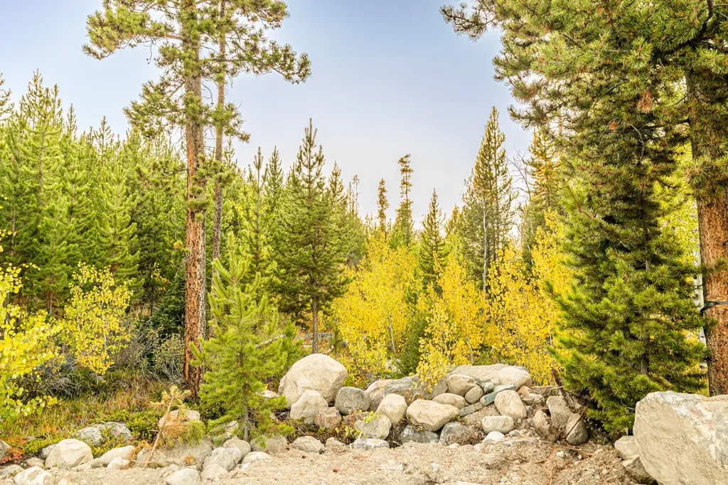Lot 1 Tbd Harris Road Anaconda MT 59711