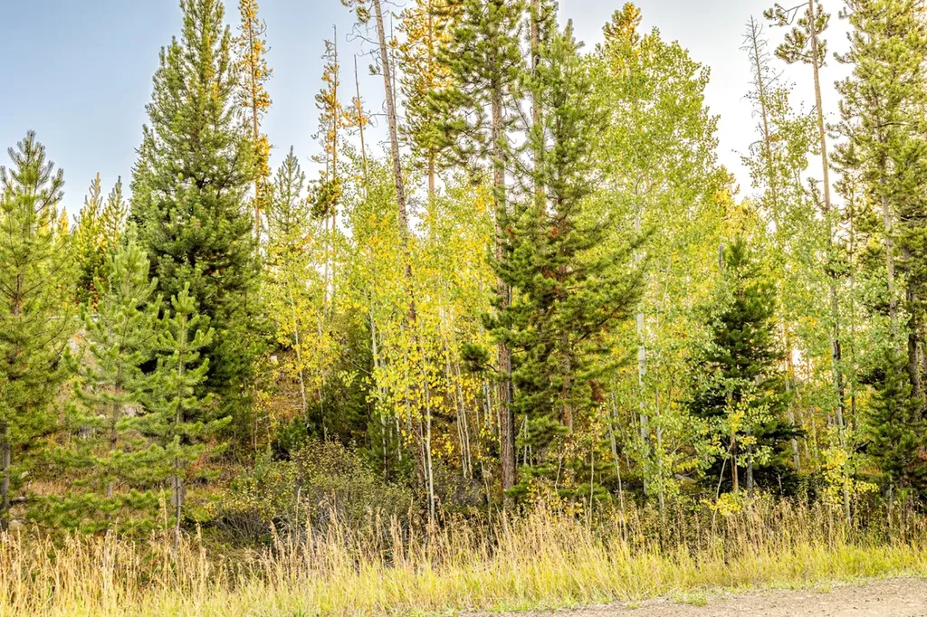 Lot 1 Tbd Harris Road Anaconda MT 59711