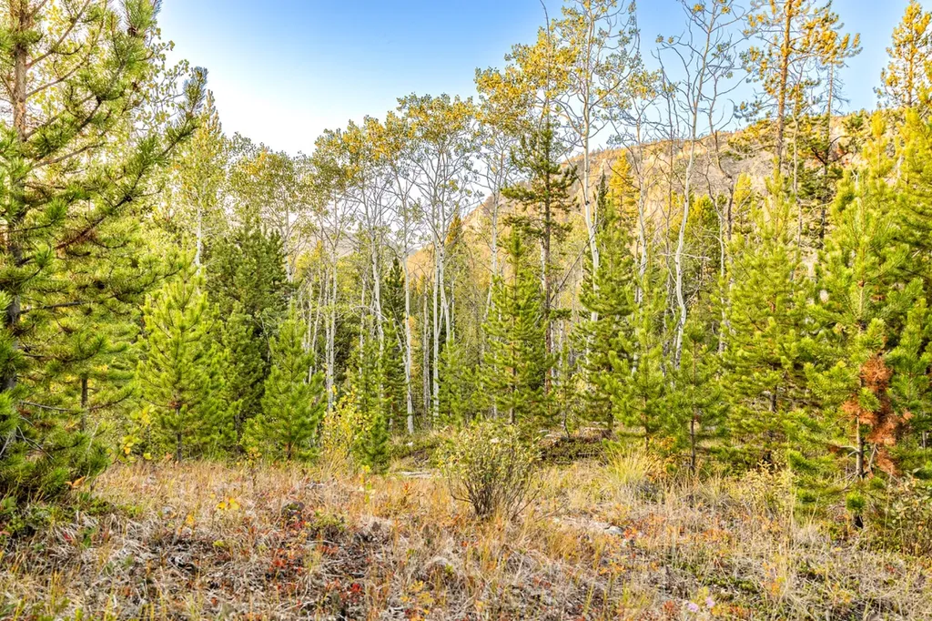 Lot 1 Tbd Harris Road Anaconda MT 59711