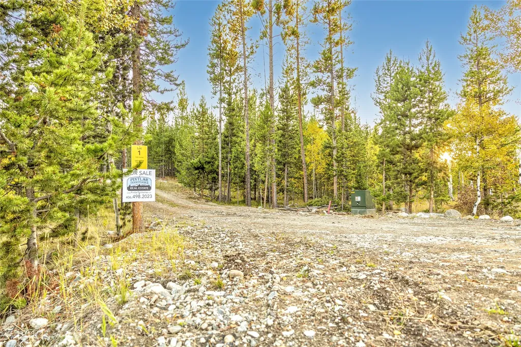 Lot 1 Tbd Harris Road Anaconda MT 59711