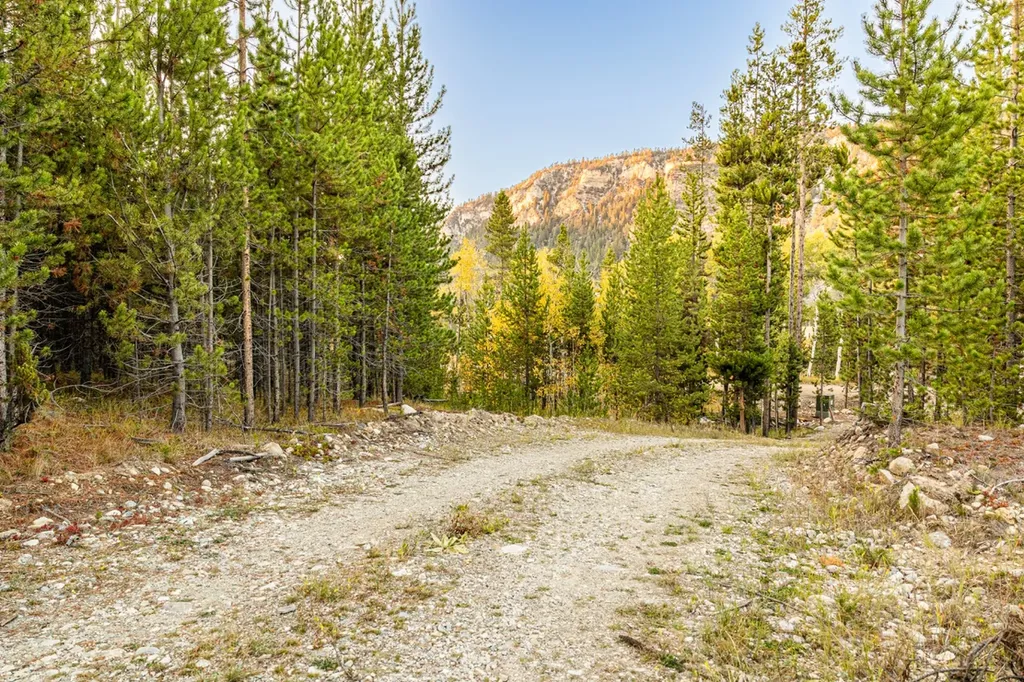 Lot 1 Tbd Harris Road Anaconda MT 59711