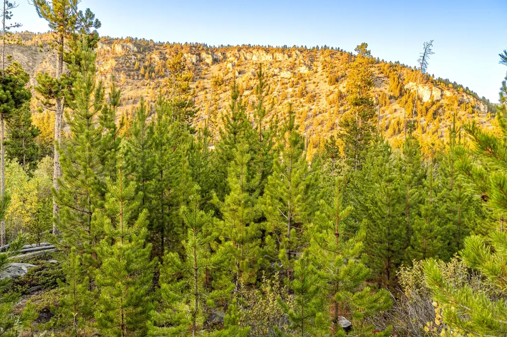 Lot 1 Tbd Harris Road Anaconda MT 59711