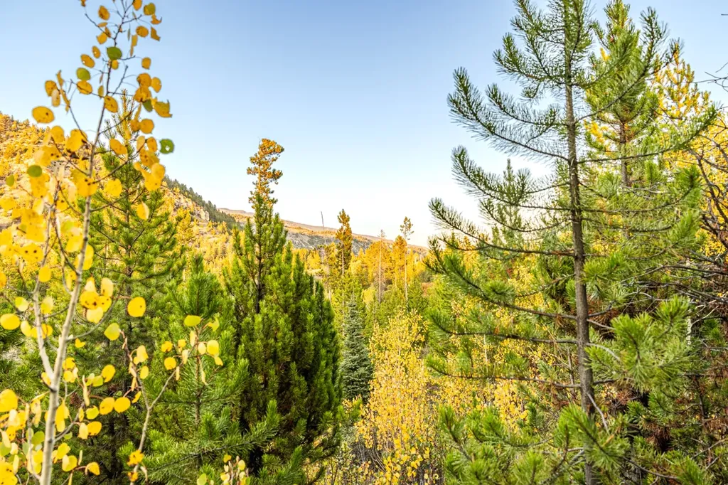 Lot 1 Tbd Harris Road Anaconda MT 59711