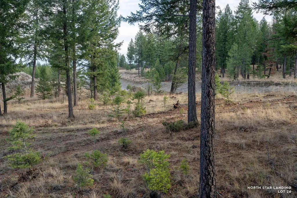 Lot 26 Origin Lane Eureka MT 59917