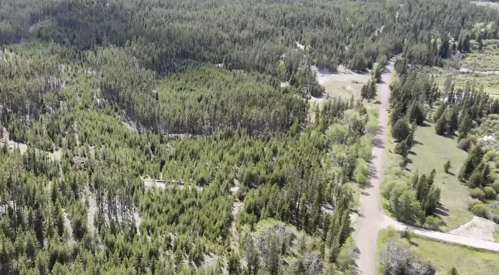 Lot 2 Tbd Harris Road Anaconda MT 59711