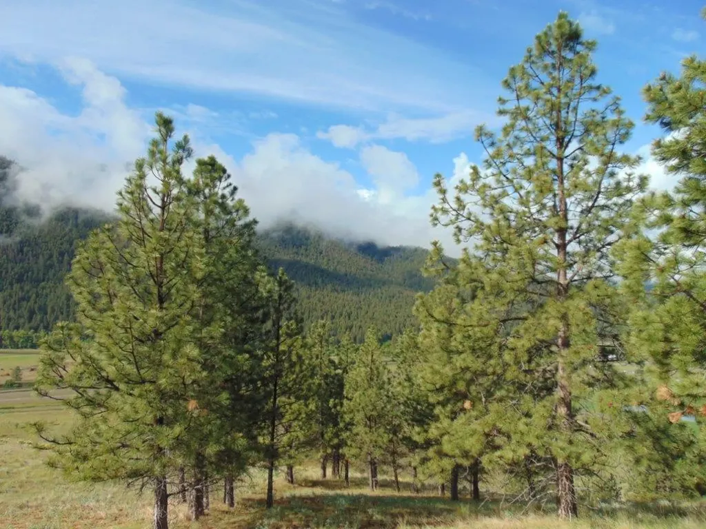 27235 Lazy Springs Road Clinton MT 59825