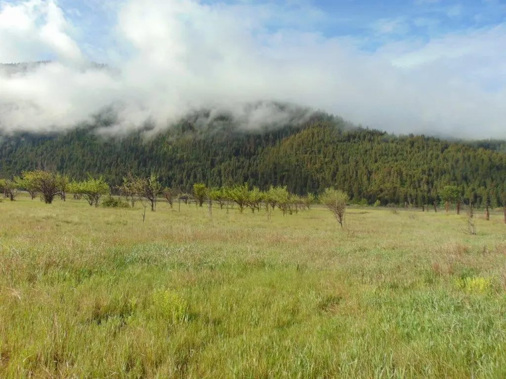 27235 Lazy Springs Road Clinton MT 59825