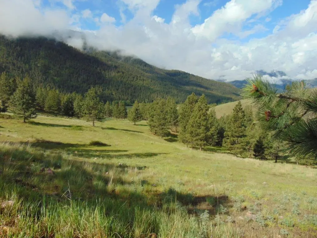 27235 Lazy Springs Road Clinton MT 59825