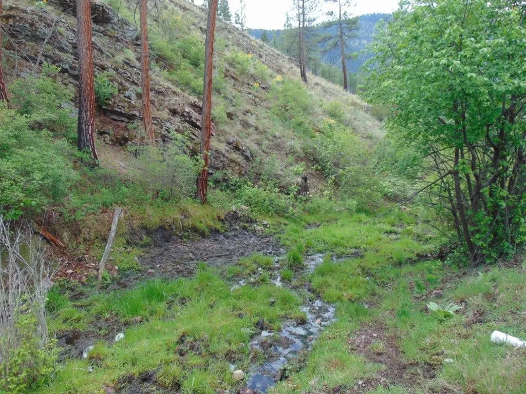 27235 Lazy Springs Road Clinton MT 59825