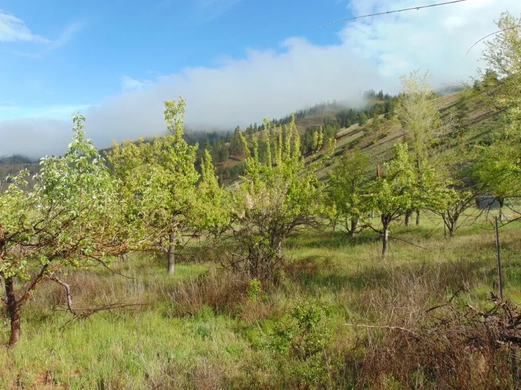 27235 Lazy Springs Road Clinton MT 59825