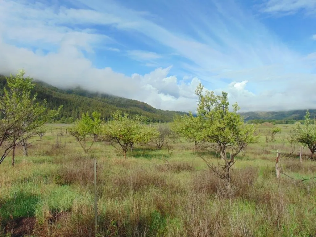 27235 Lazy Springs Road Clinton MT 59825