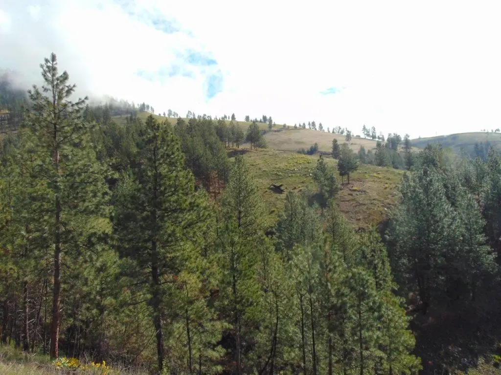 27235 Lazy Springs Road Clinton MT 59825