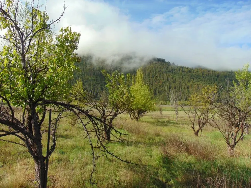 27235 Lazy Springs Road Clinton MT 59825