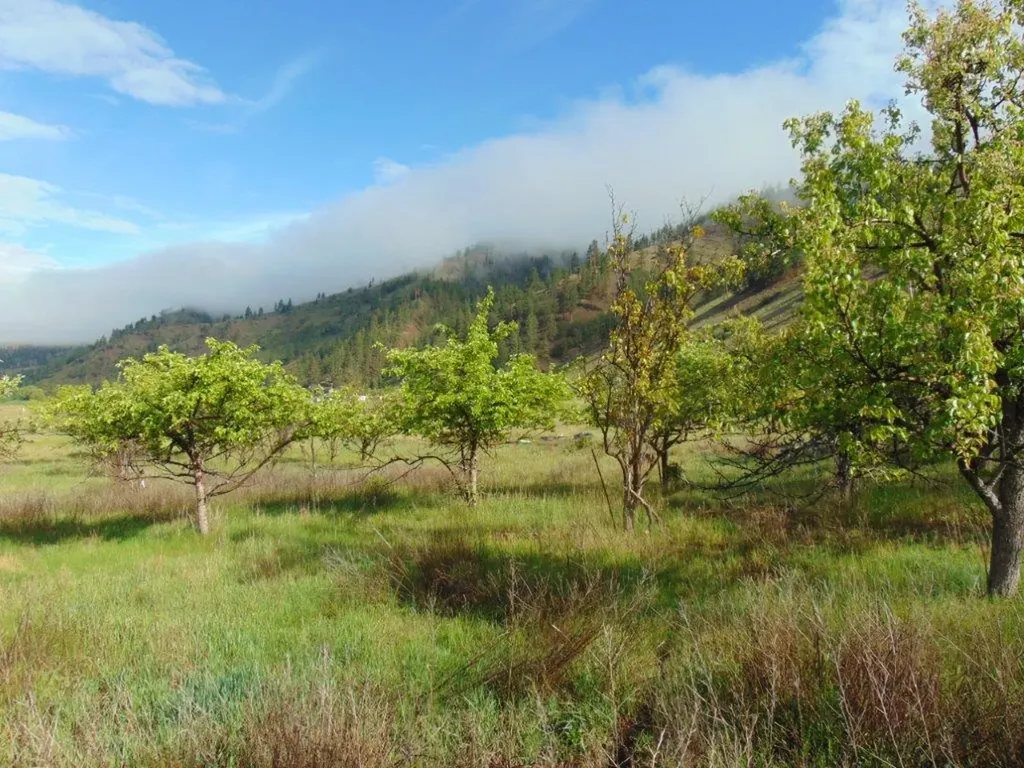27235 Lazy Springs Road Clinton MT 59825