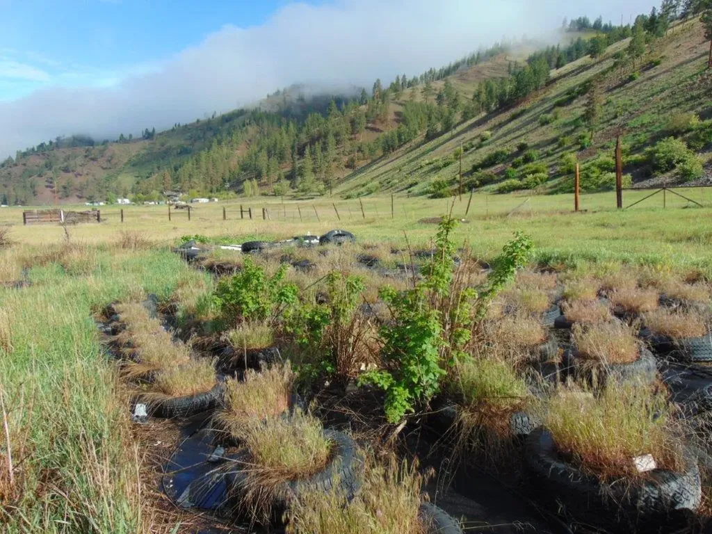27235 Lazy Springs Road Clinton MT 59825