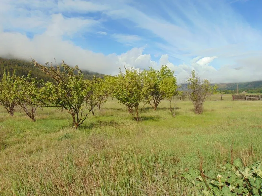27235 Lazy Springs Road Clinton MT 59825