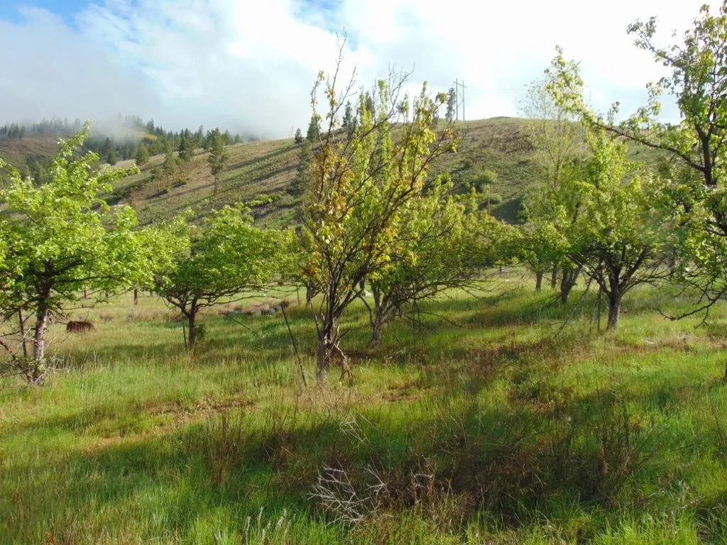 27235 Lazy Springs Road Clinton MT 59825