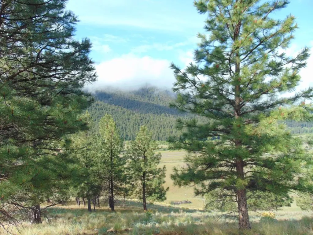 27235 Lazy Springs Road Clinton MT 59825