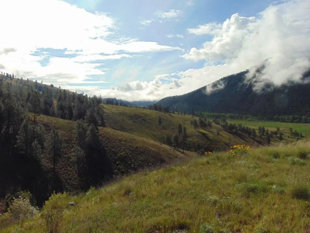 27235 Lazy Springs Road Clinton MT 59825