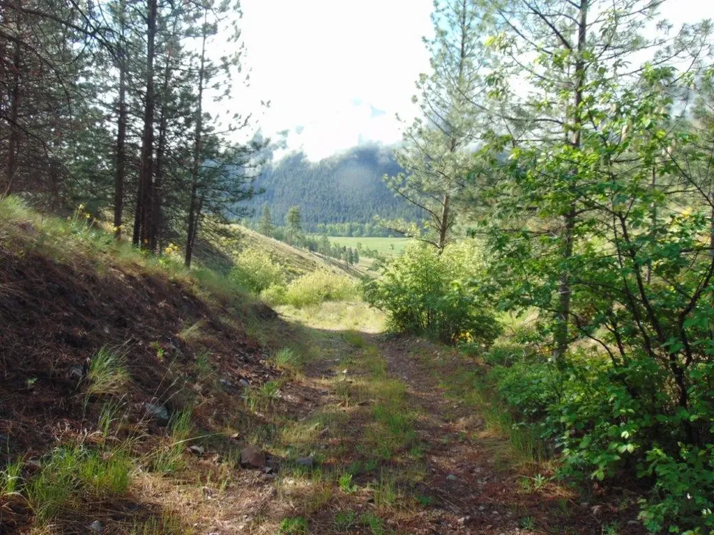 27235 Lazy Springs Road Clinton MT 59825
