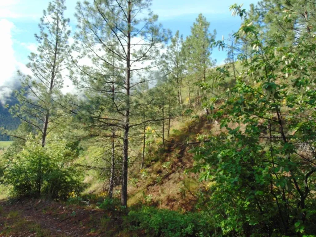 27235 Lazy Springs Road Clinton MT 59825