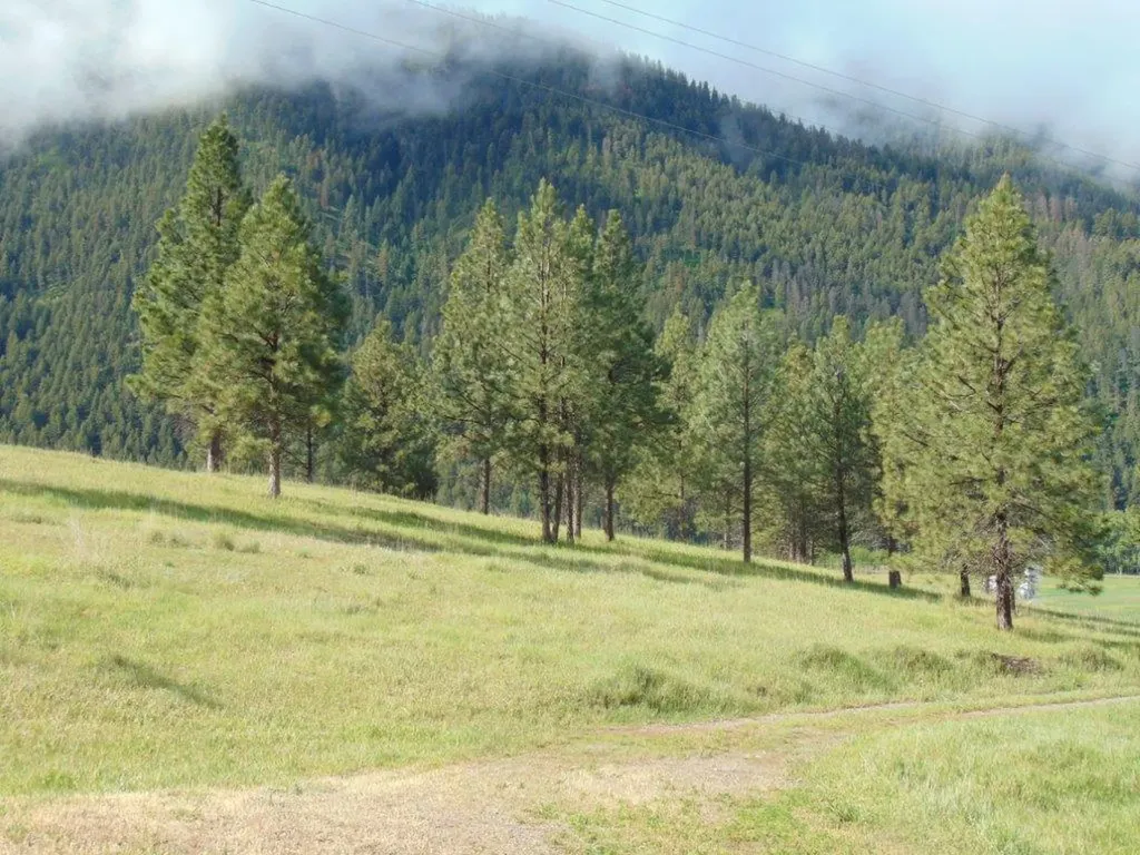 27235 Lazy Springs Road Clinton MT 59825